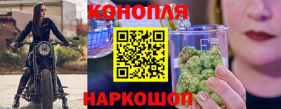 mdpv Краснознаменск