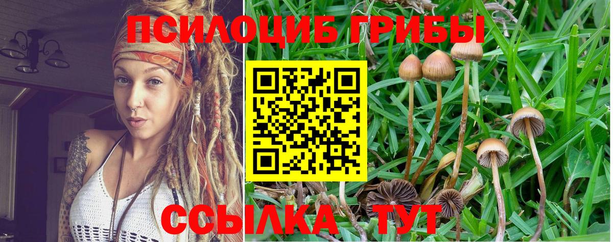 Псилоцибиновые грибы мицелий Орехово-Зуево