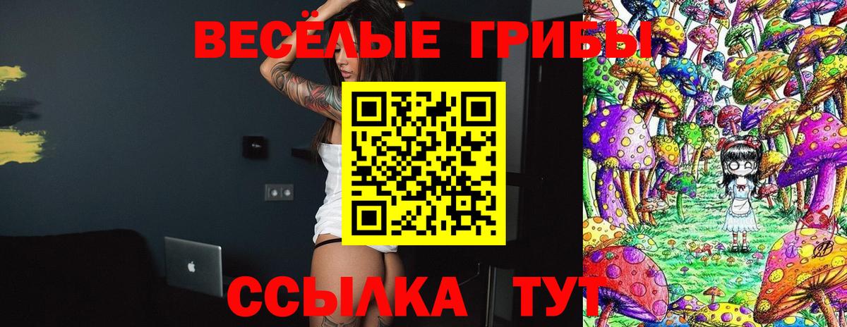 Псилоцибиновые грибы GOLDEN TEACHER  Вход с VPN  Орехово-Зуево 